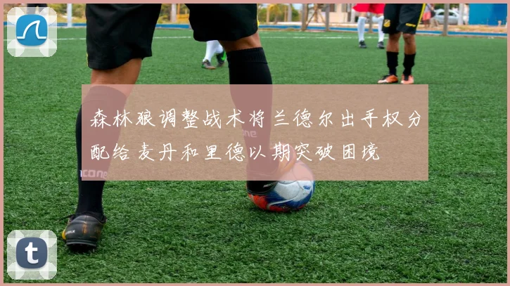 森林狼调整战术将兰德尔出手权分配给麦丹和里德以期突破困境
